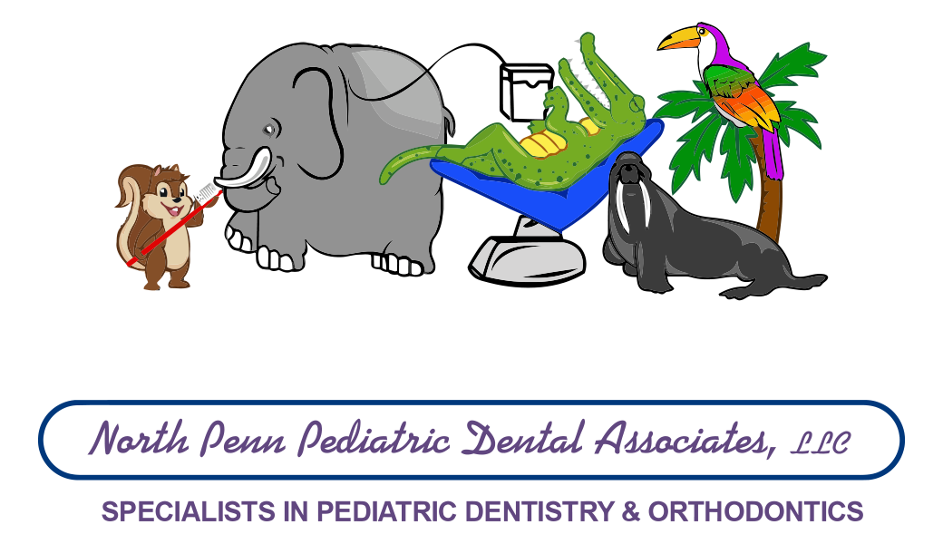 North Penn Pediatric Dental Associates, L.L.C. Logo