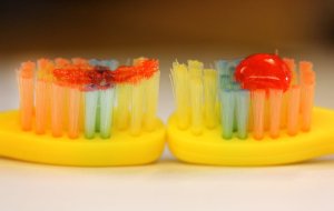 Two toothbrushes